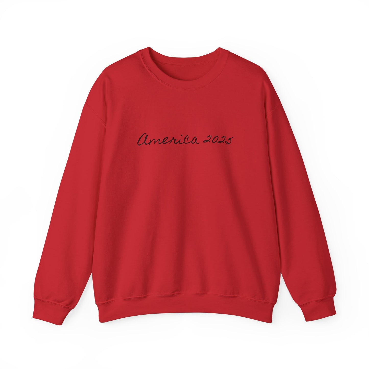 America 2025 Unisex Sweatshirt