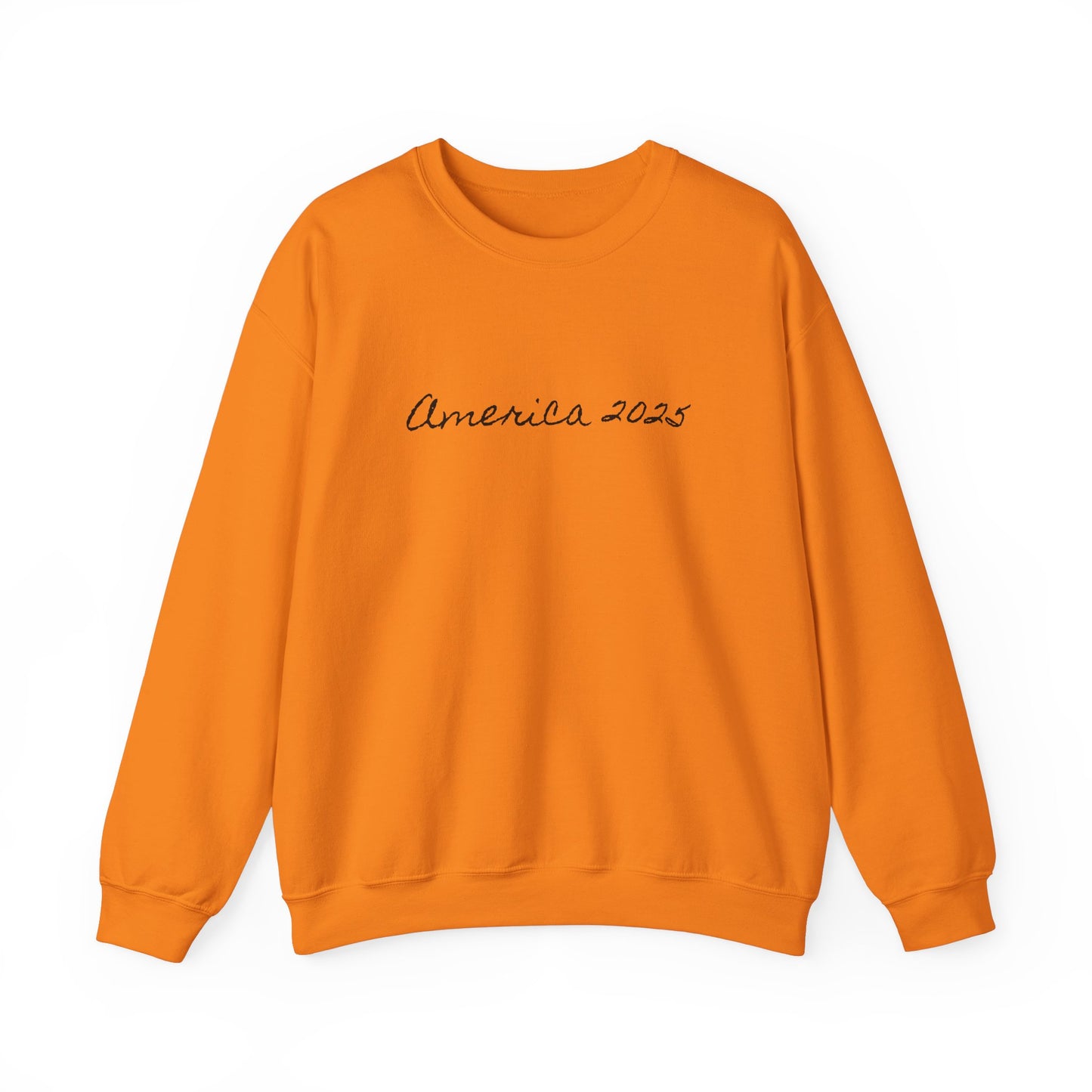 America 2025 Unisex Sweatshirt