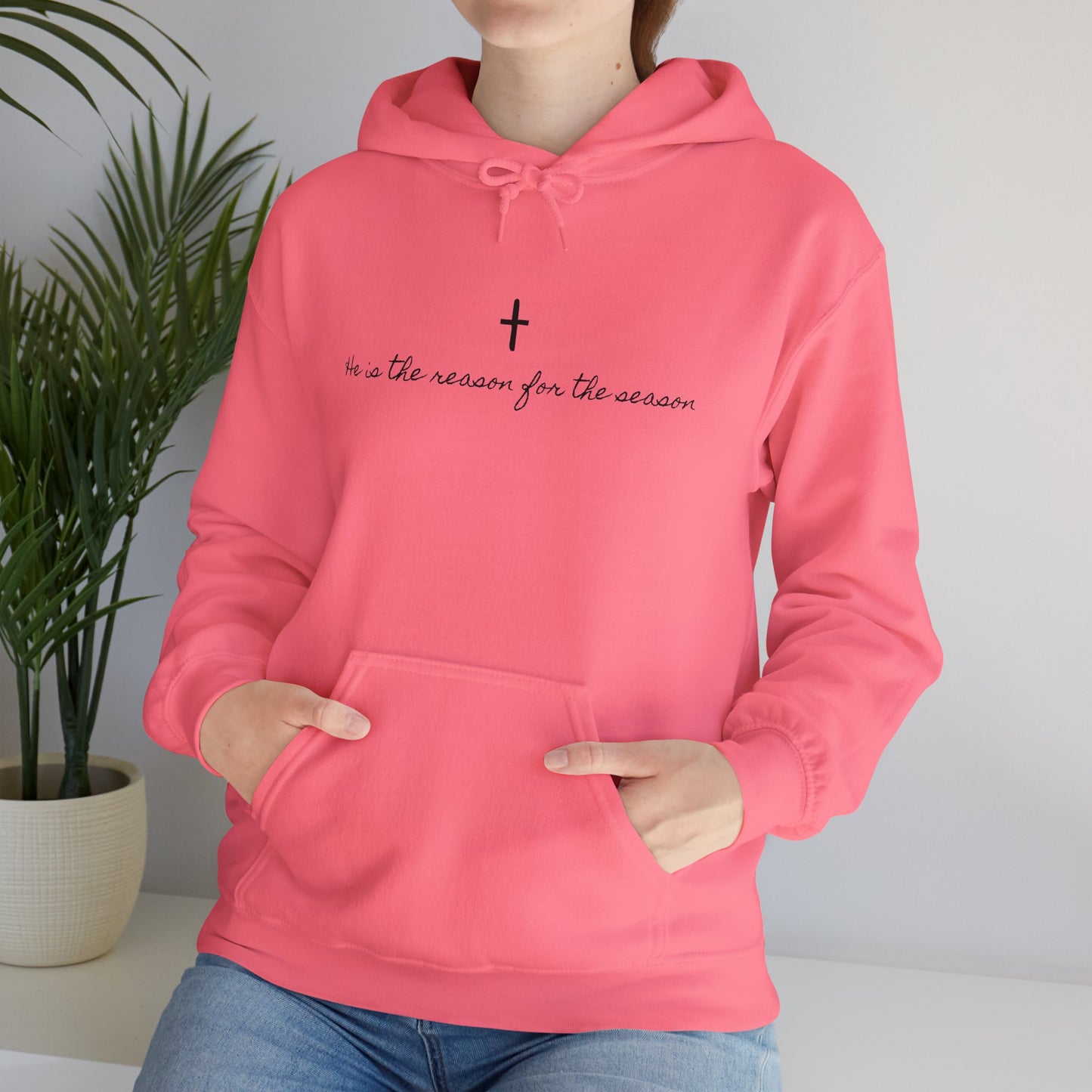 Christmas Unisex Hoodie - He's The Reason for the Season