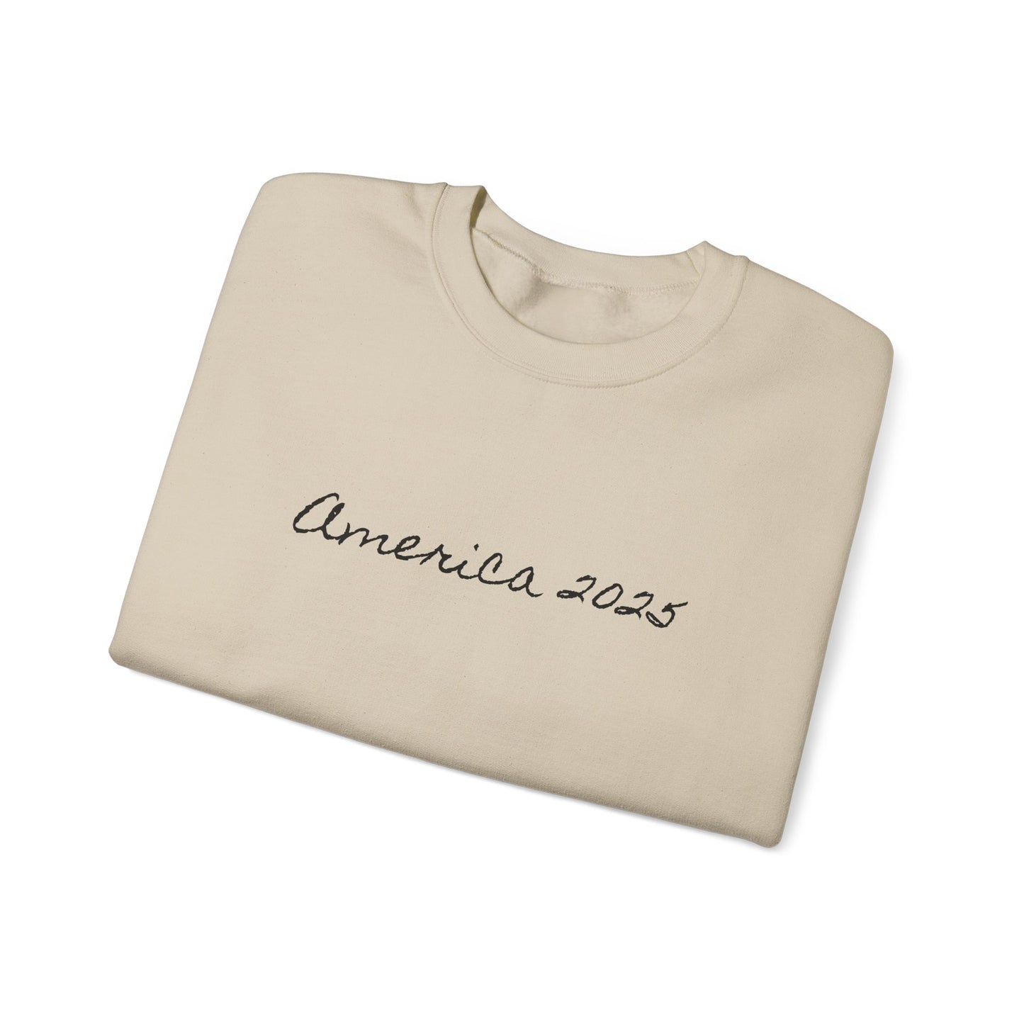 America 2025 Unisex Sweatshirt