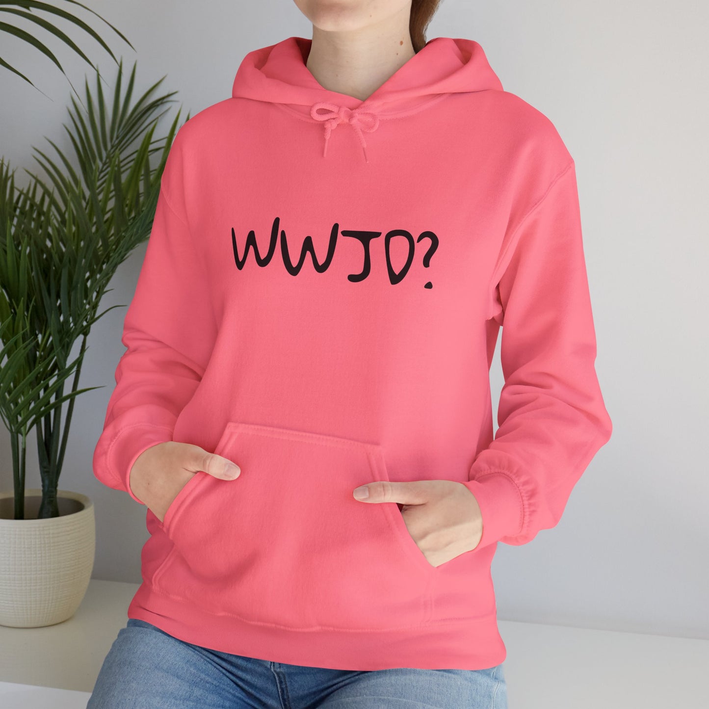 Hooded Sweatshirt WWJD? (What would Jesus do?)