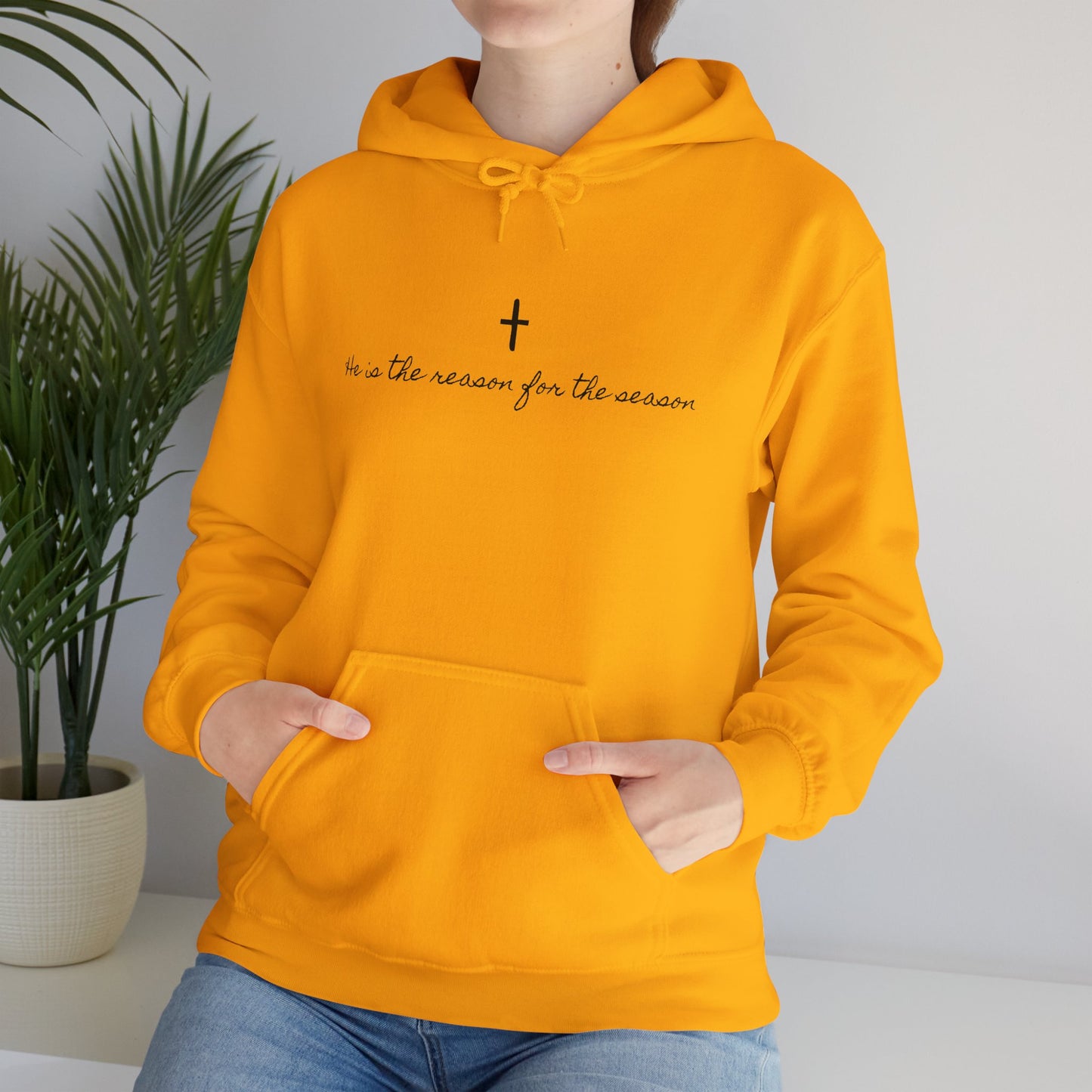 Christmas Unisex Hoodie - He's The Reason for the Season